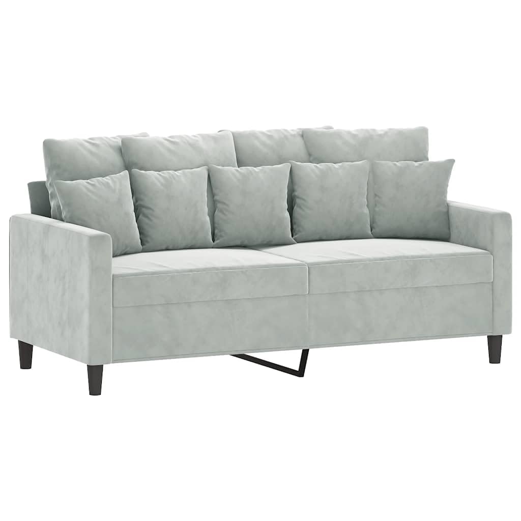 Light Gray Velvet 2-Seater Sofa with Metal Frame B482