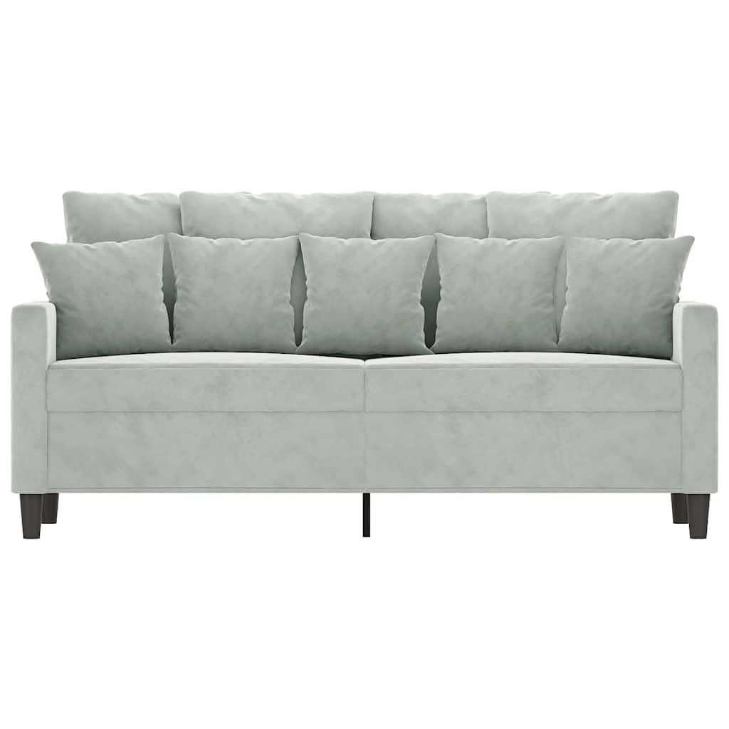 Light Gray Velvet 2-Seater Sofa with Metal Frame B482