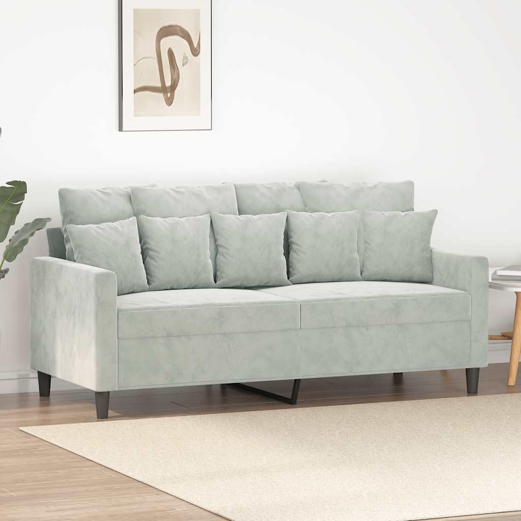 Light Gray Velvet 2-Seater Sofa with Metal Frame B482