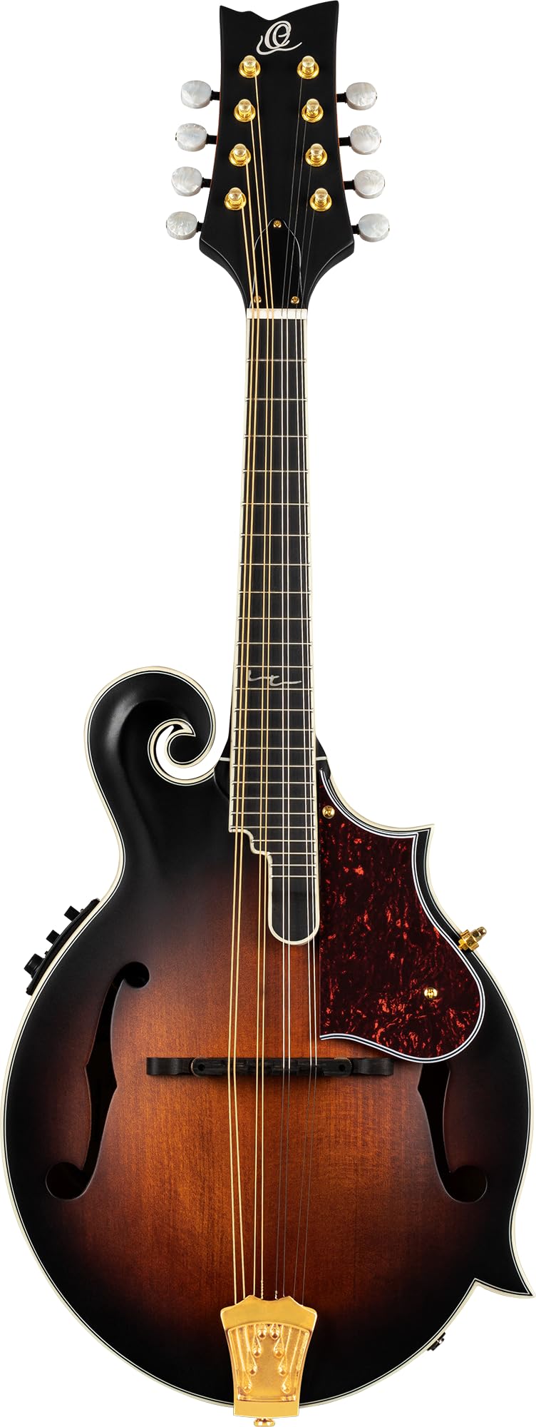 All Solid F-Style Acoustic-Electric Mandolin F987