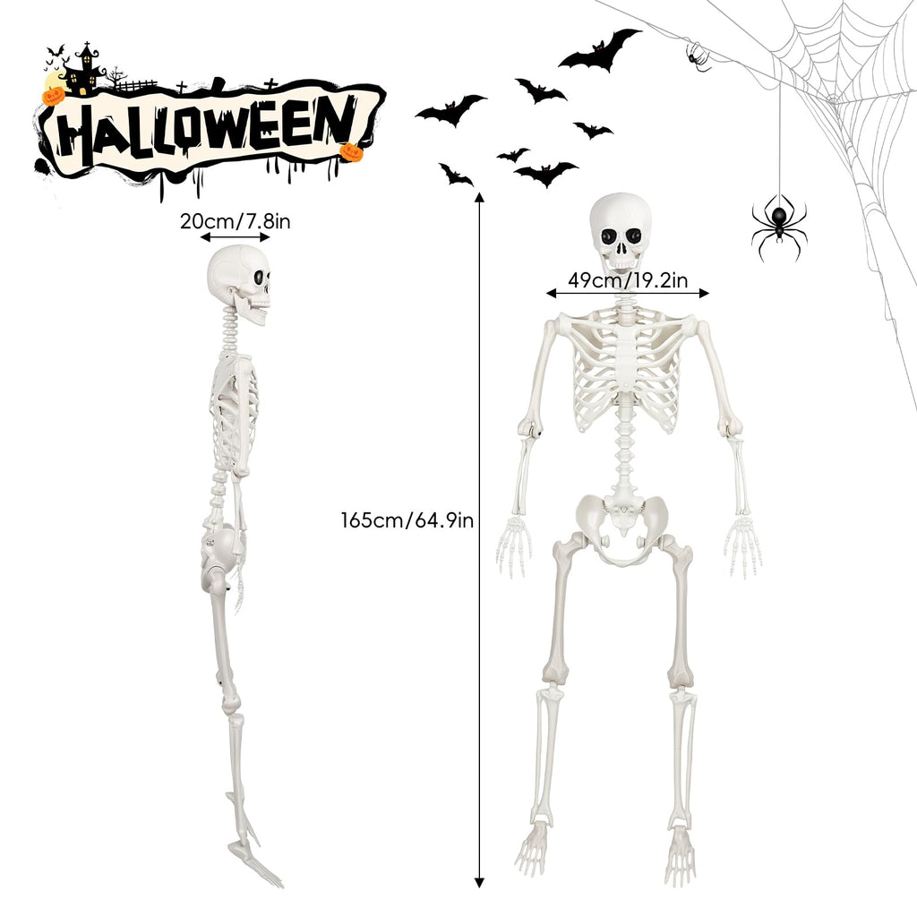 Poseable Life Size Skeleton G1647