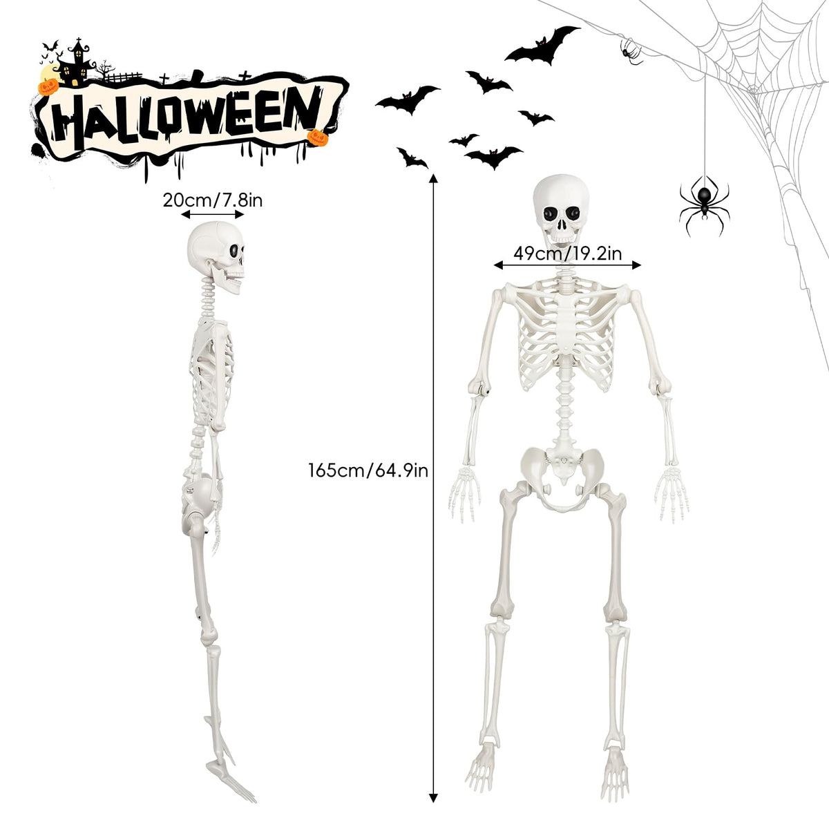 Poseable Life Size Skeleton G1647