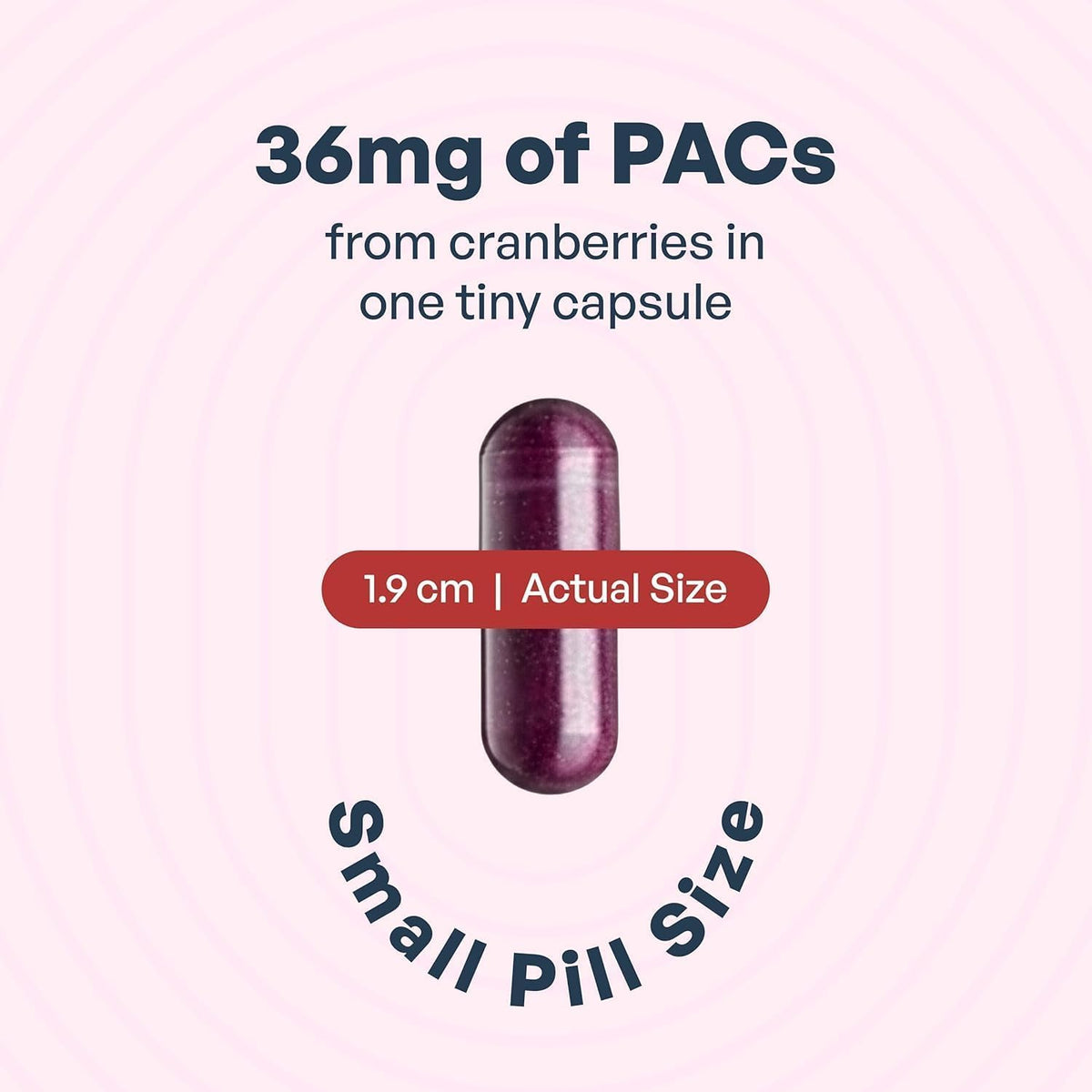 Cranberry PACs 36 mg 30 Capsules L198050
