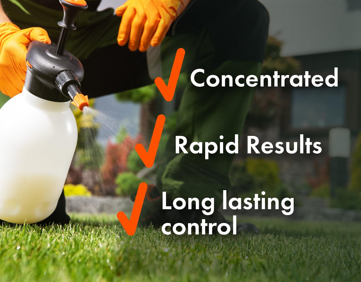 32oz Concentrated Post-Emergent Herbicide for Woody Plants & Broadleaf Weed Control S404669