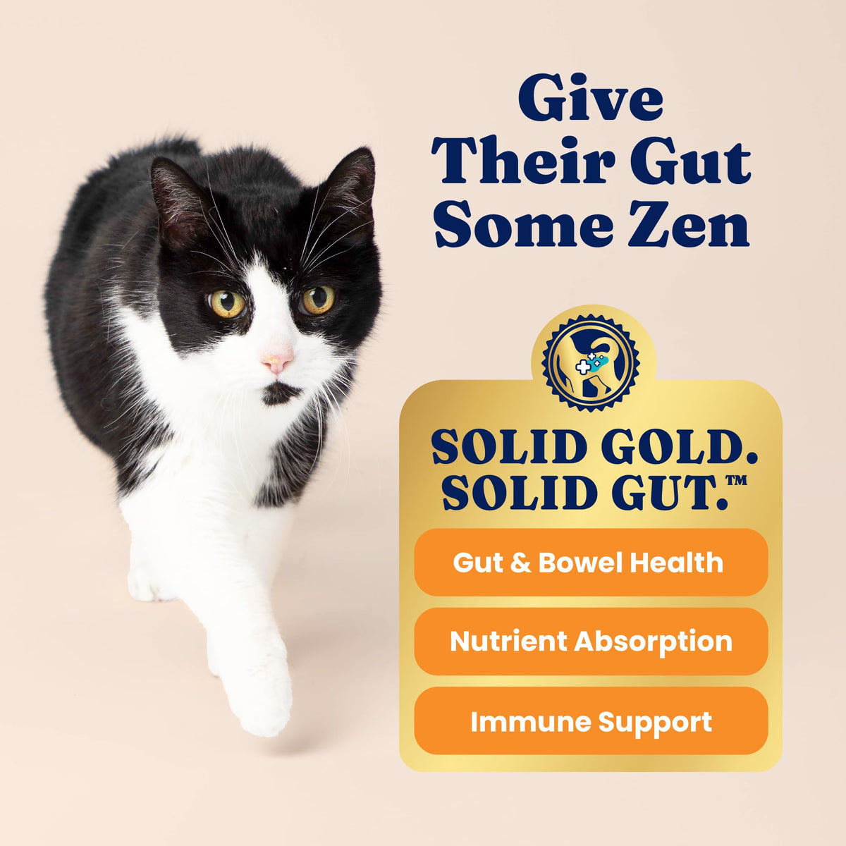 Solid Gold Indoor Chicken Dry Cat Food High Fiber, Adult & Senior Cats 12LB M22839