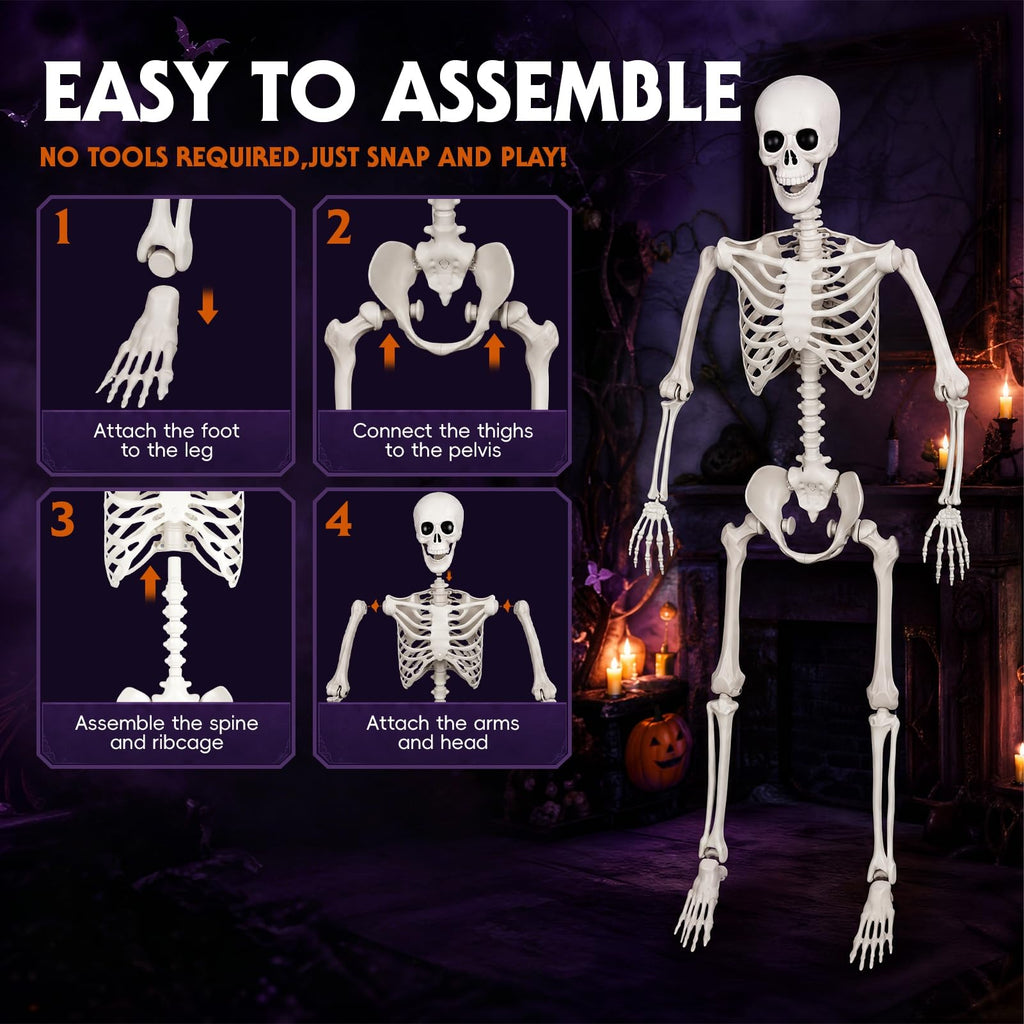 Poseable Life Size Skeleton G1647