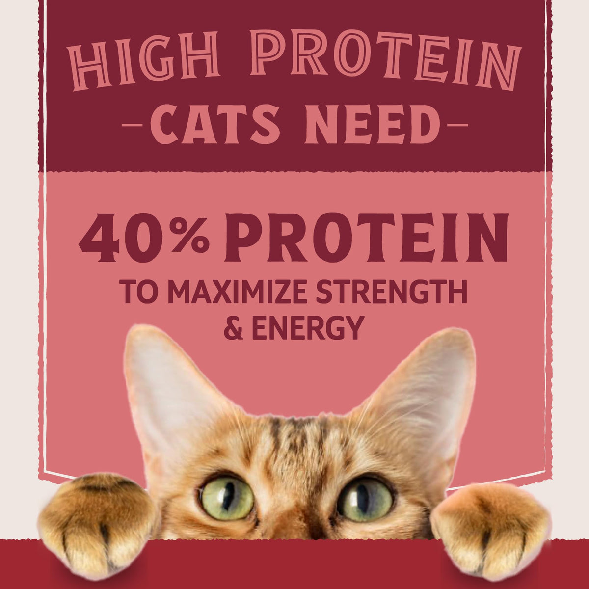 Salmon & Chicken Meal Protein E387