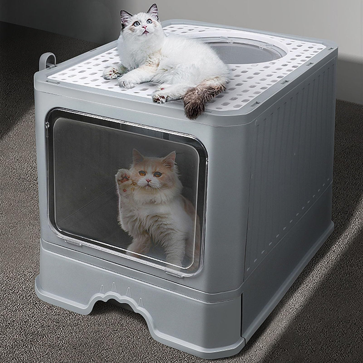 Foldable Enclosed Cat Litter Box with Lid R427