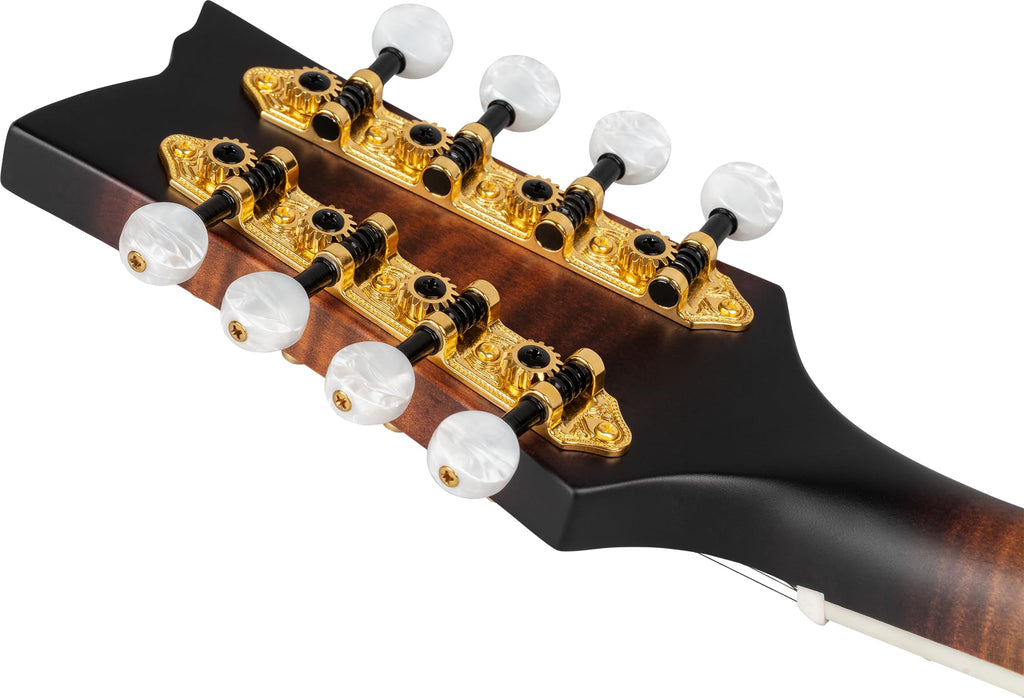 All Solid F-Style Acoustic-Electric Mandolin F987