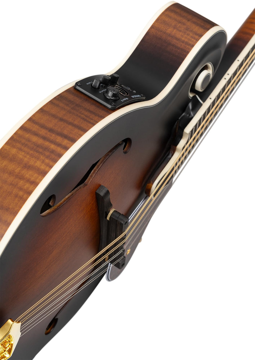 All Solid F-Style Acoustic-Electric Mandolin F987