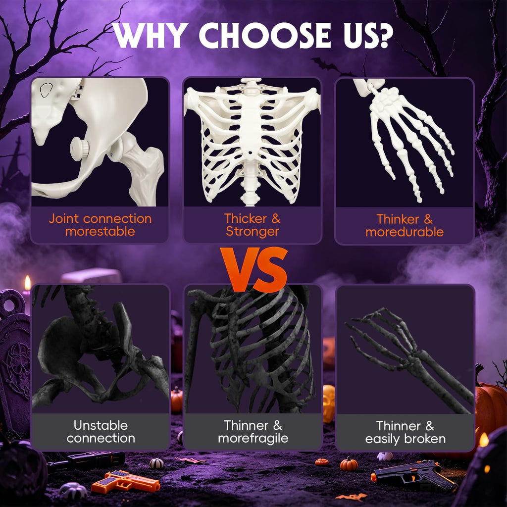 Poseable Life Size Skeleton G1647
