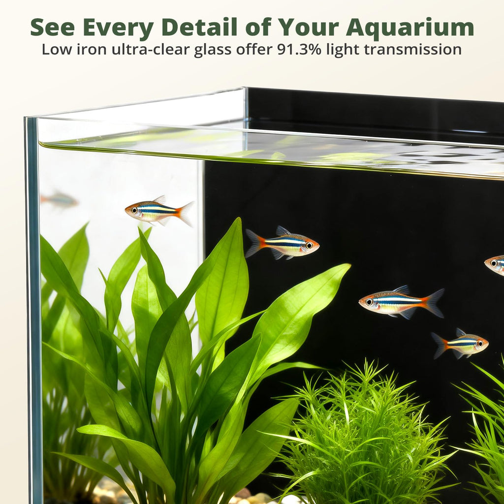 2.5 Gallon Fish Tank with Filter S5446