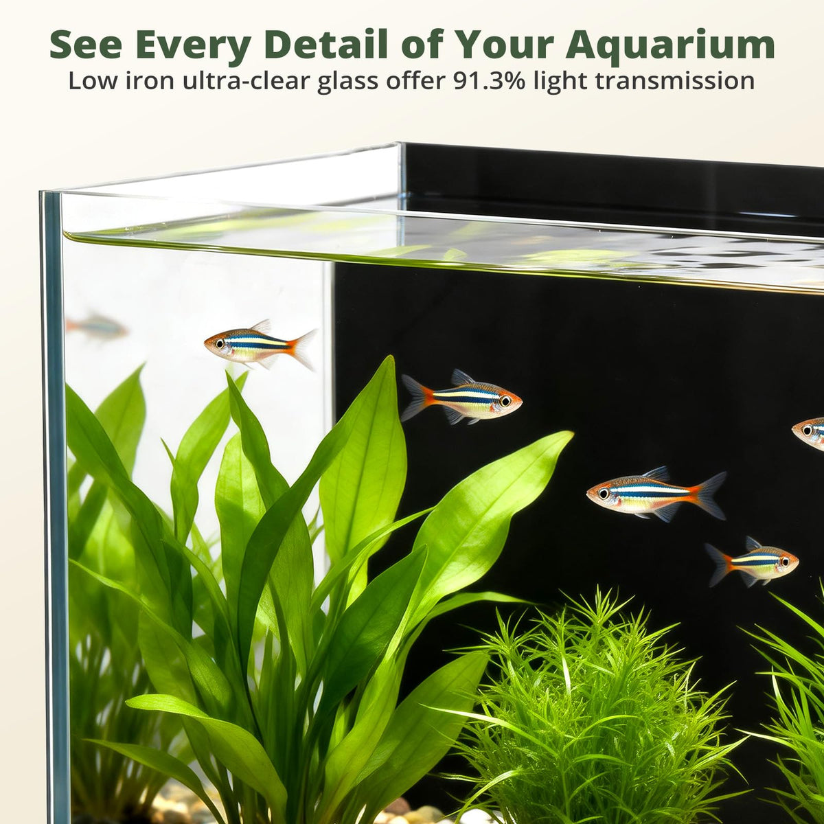 2.5 Gallon Fish Tank with Filter S5446