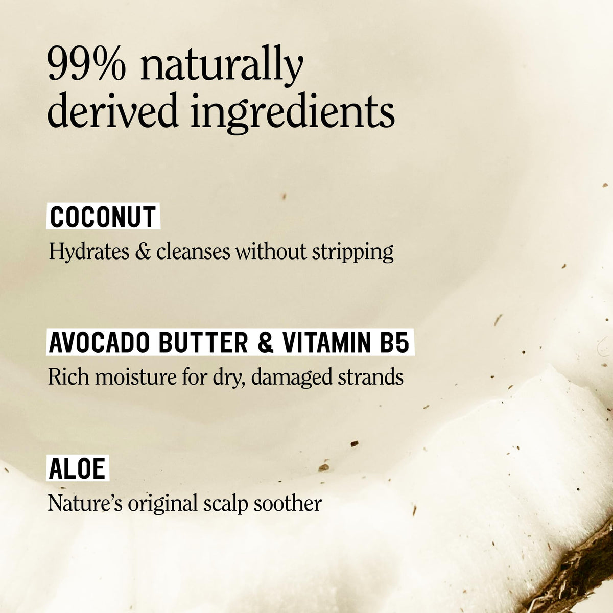 Toasted Coconut Shampoo Conditioner Set, Vegan, Sulfate Free, 20 Fl Oz G99131