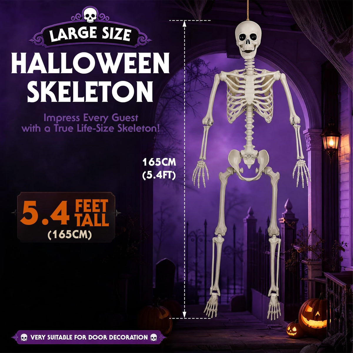 Poseable Life Size Skeleton G1647