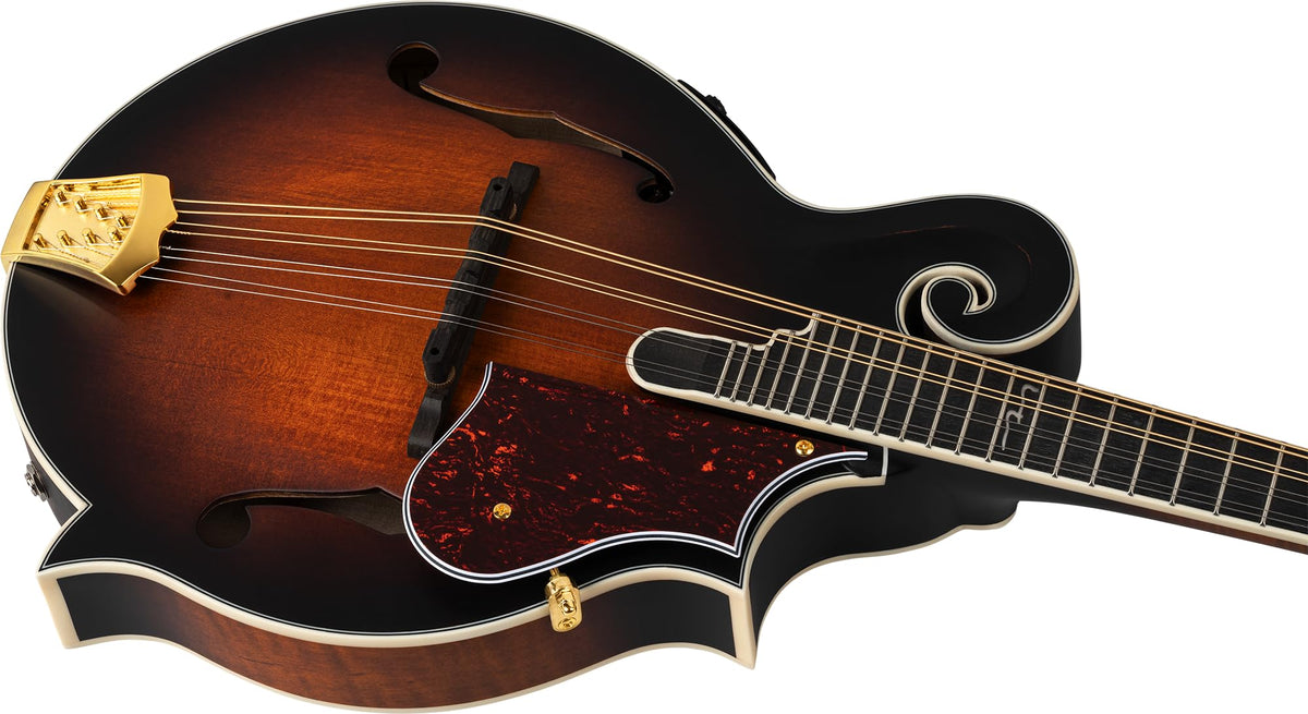 All Solid F-Style Acoustic-Electric Mandolin F987