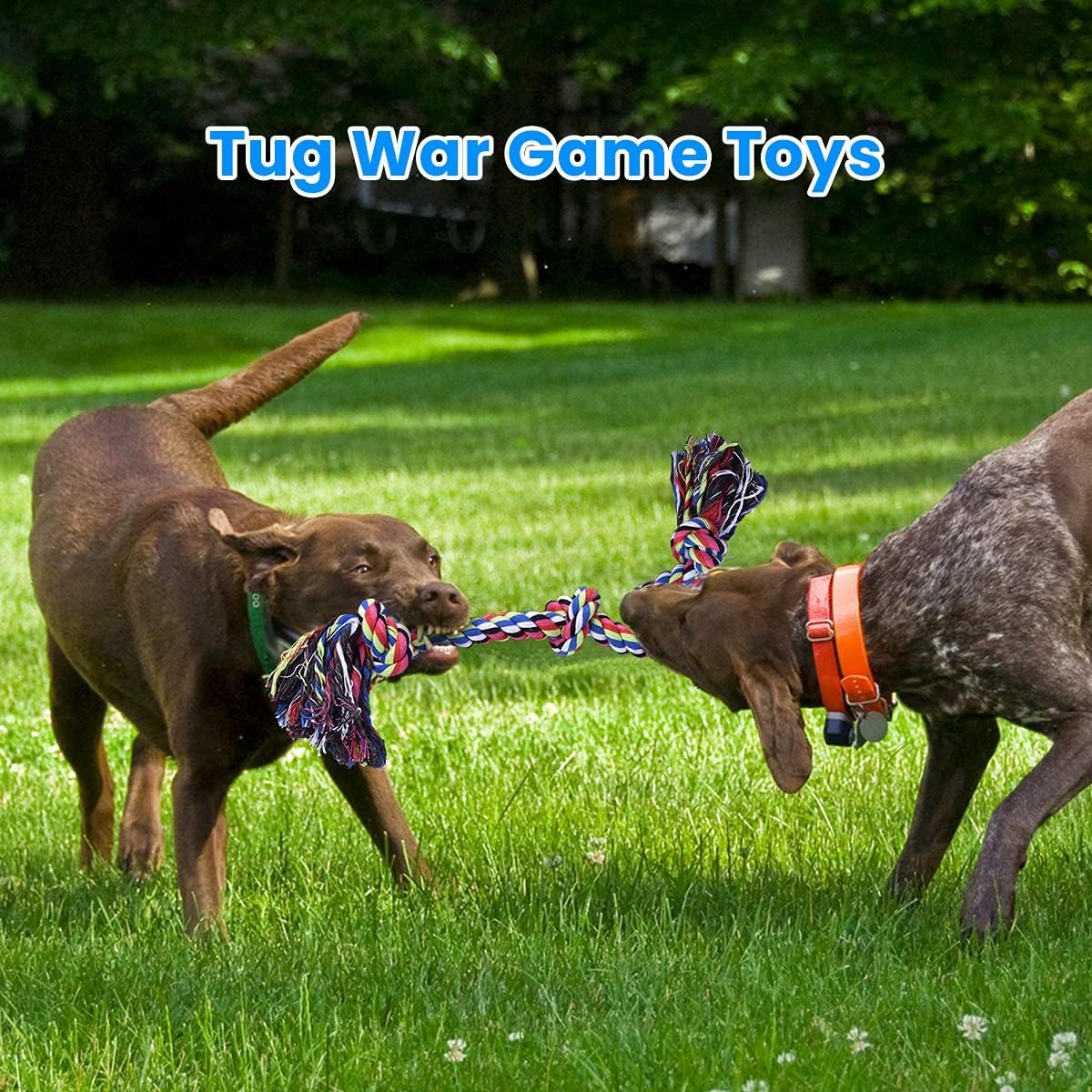 Dog Rope Toys N381
