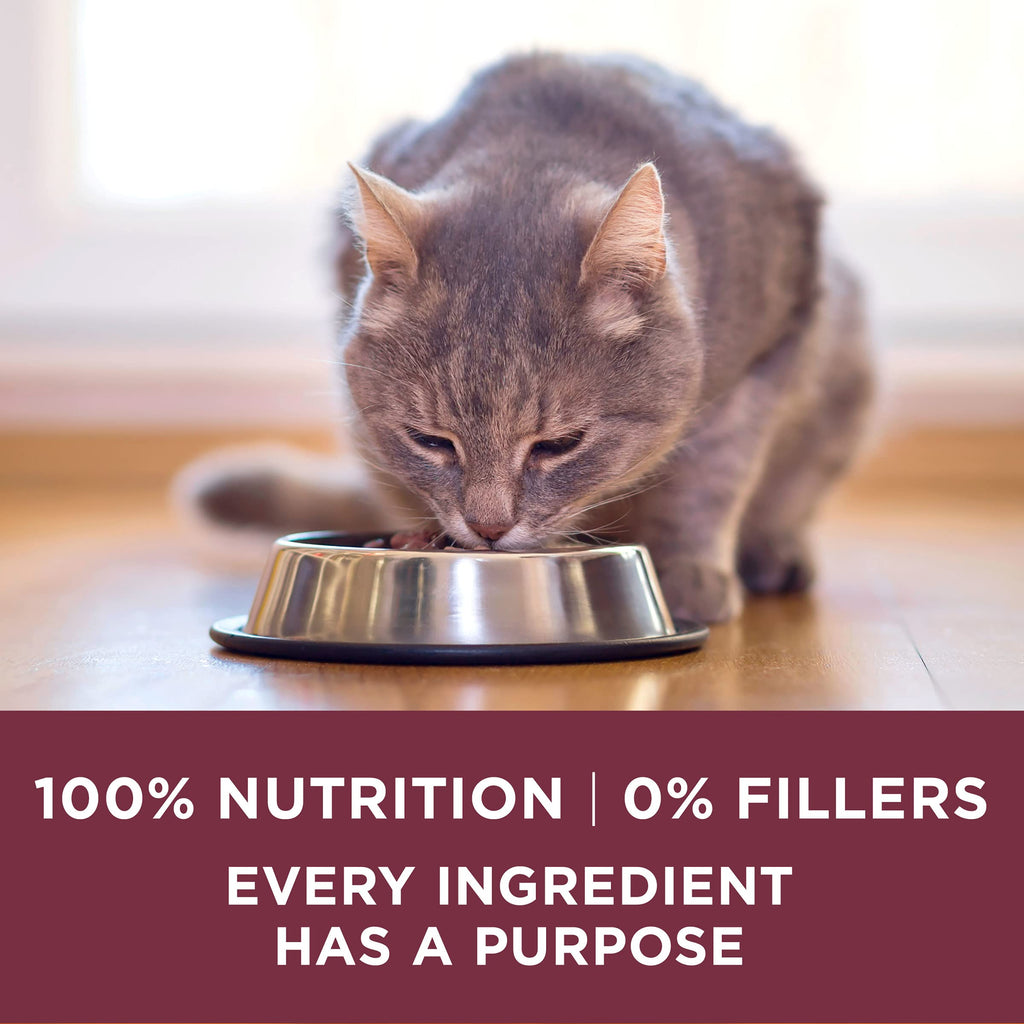 High Protein Urinary Tract Health Dry Cat Food 16 lb Bag P7153