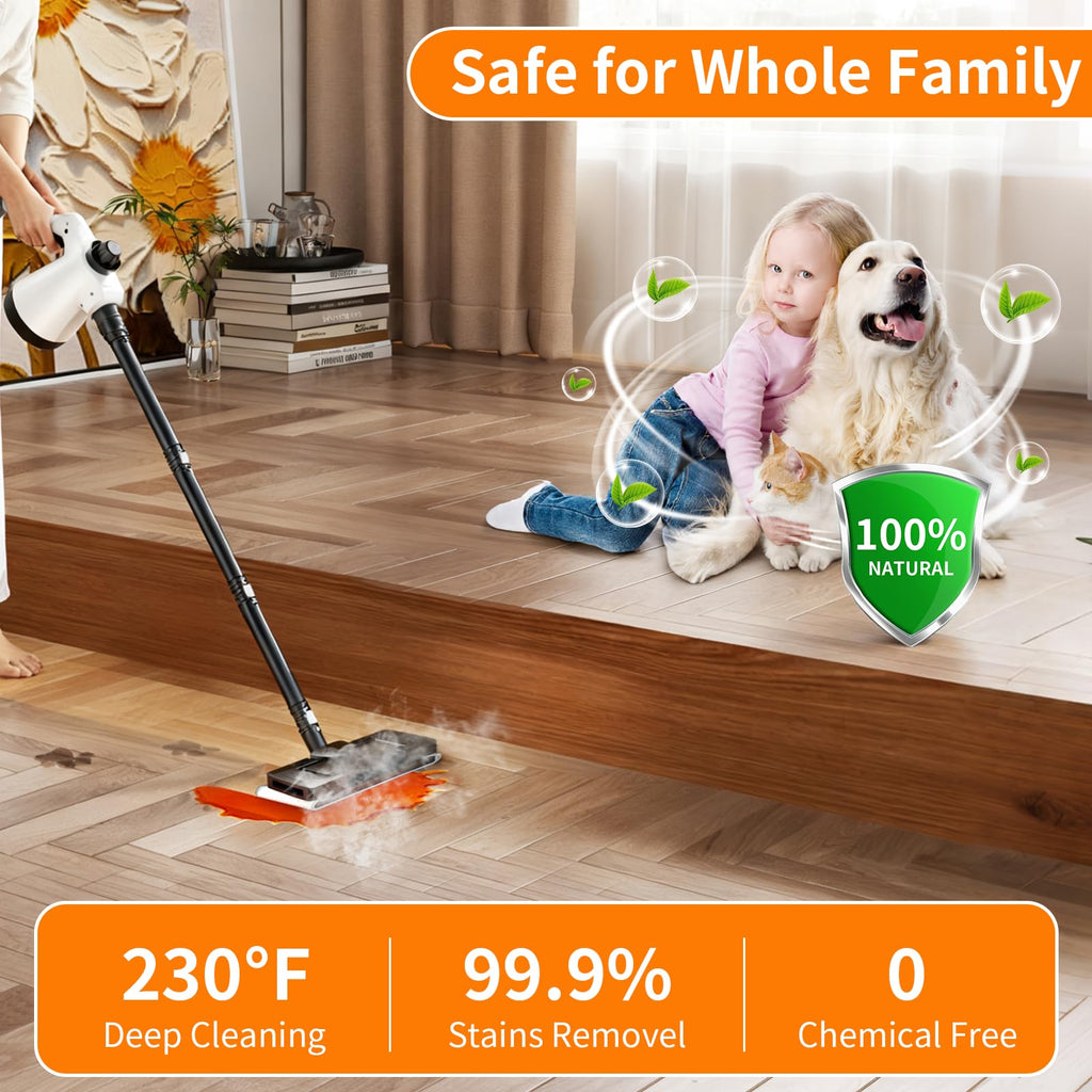 16-in-1 Lightweight Detachable Steam Mop F196