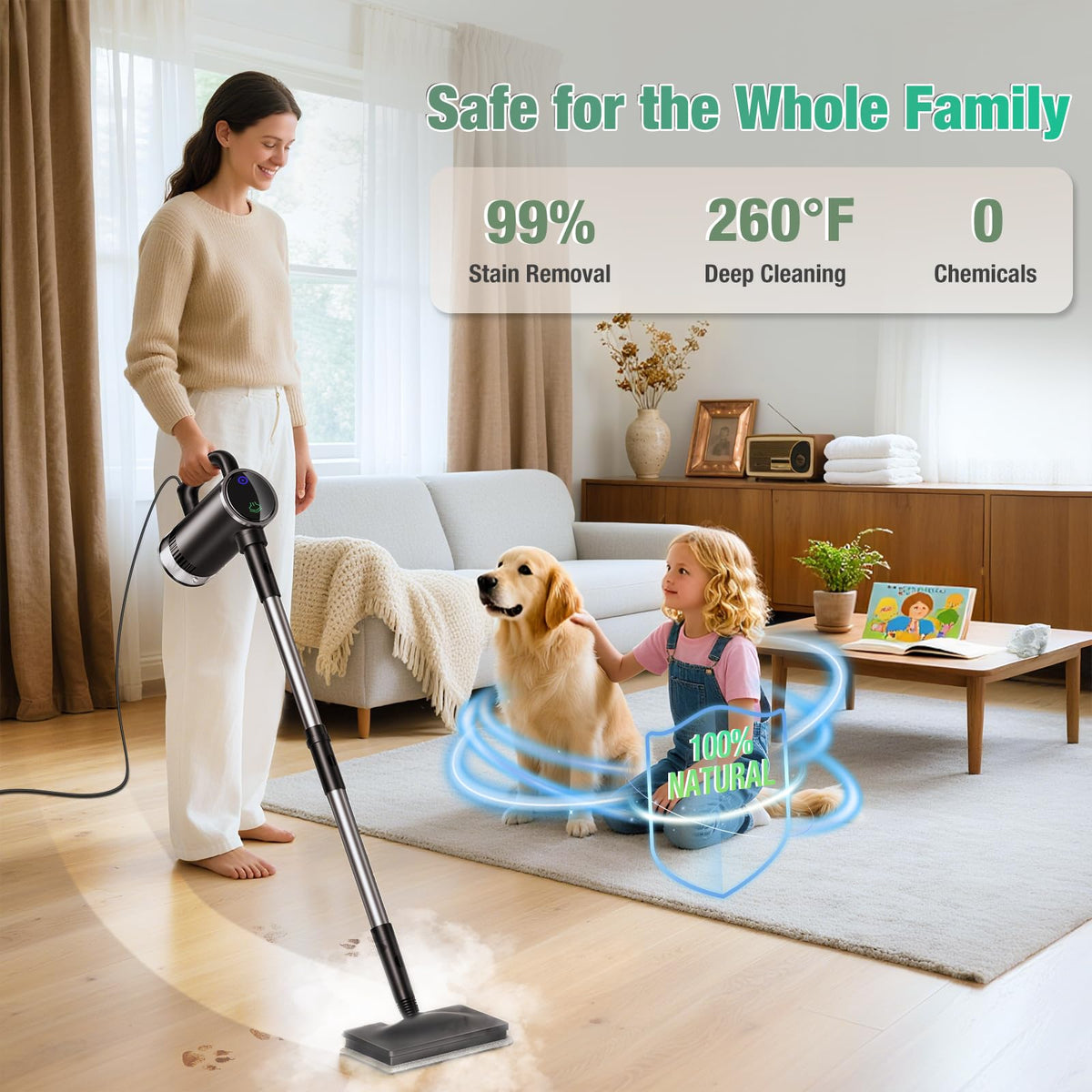 11-in-1 Detachable Handheld Steam Mop F8248