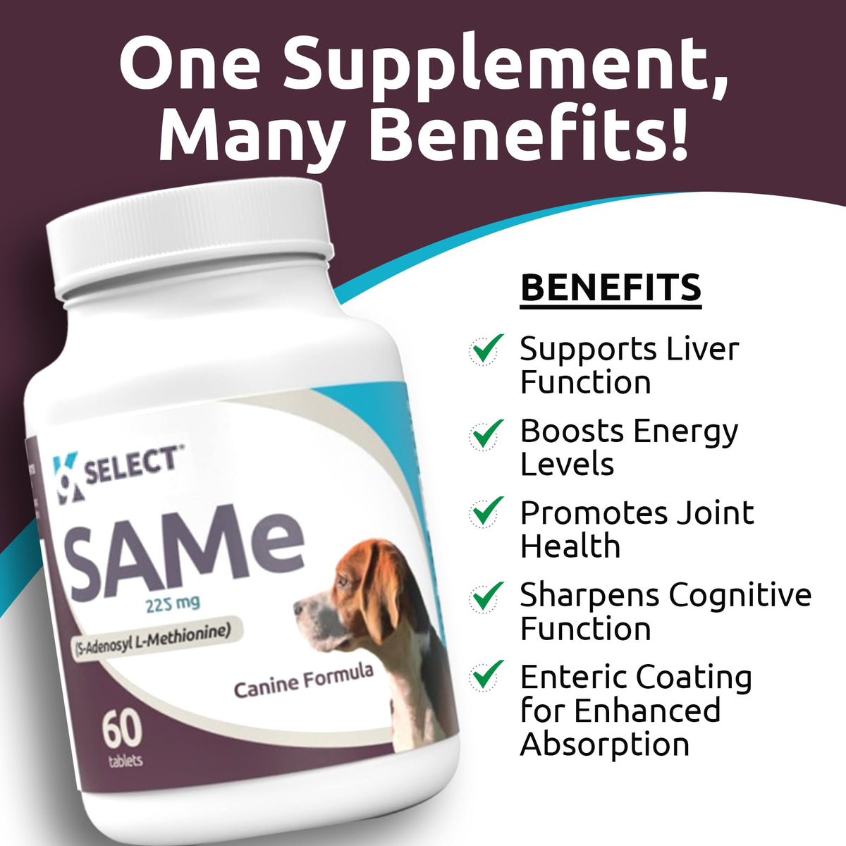 Dog Liver Supplement 60 Tablet 225mg O611