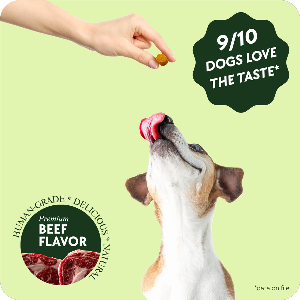 Chewable Flea and Tick Prevention for Dogs 120 Chews Beef J965