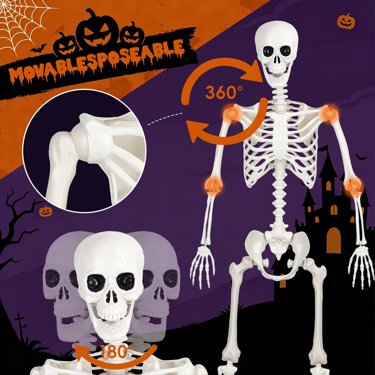 Poseable Life Size Skeleton G1647