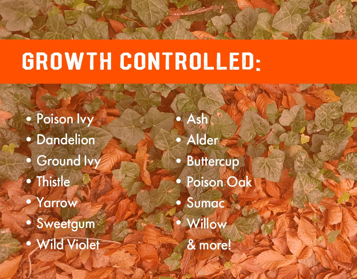 32oz Concentrated Post-Emergent Herbicide for Woody Plants & Broadleaf Weed Control S404669