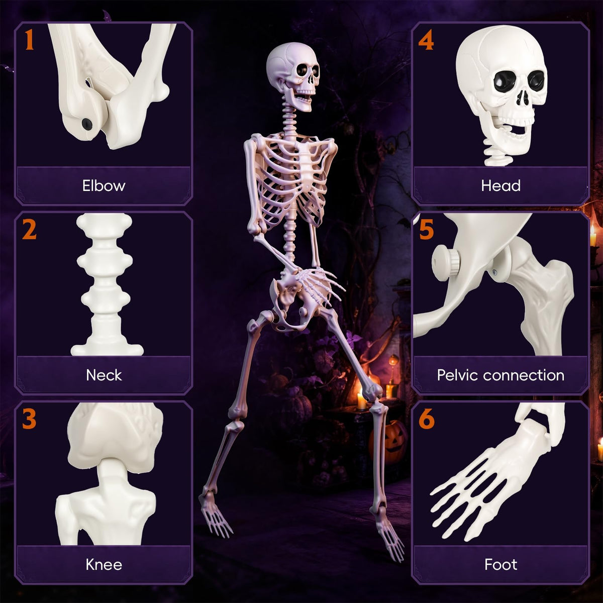 Poseable Life Size Skeleton G1647