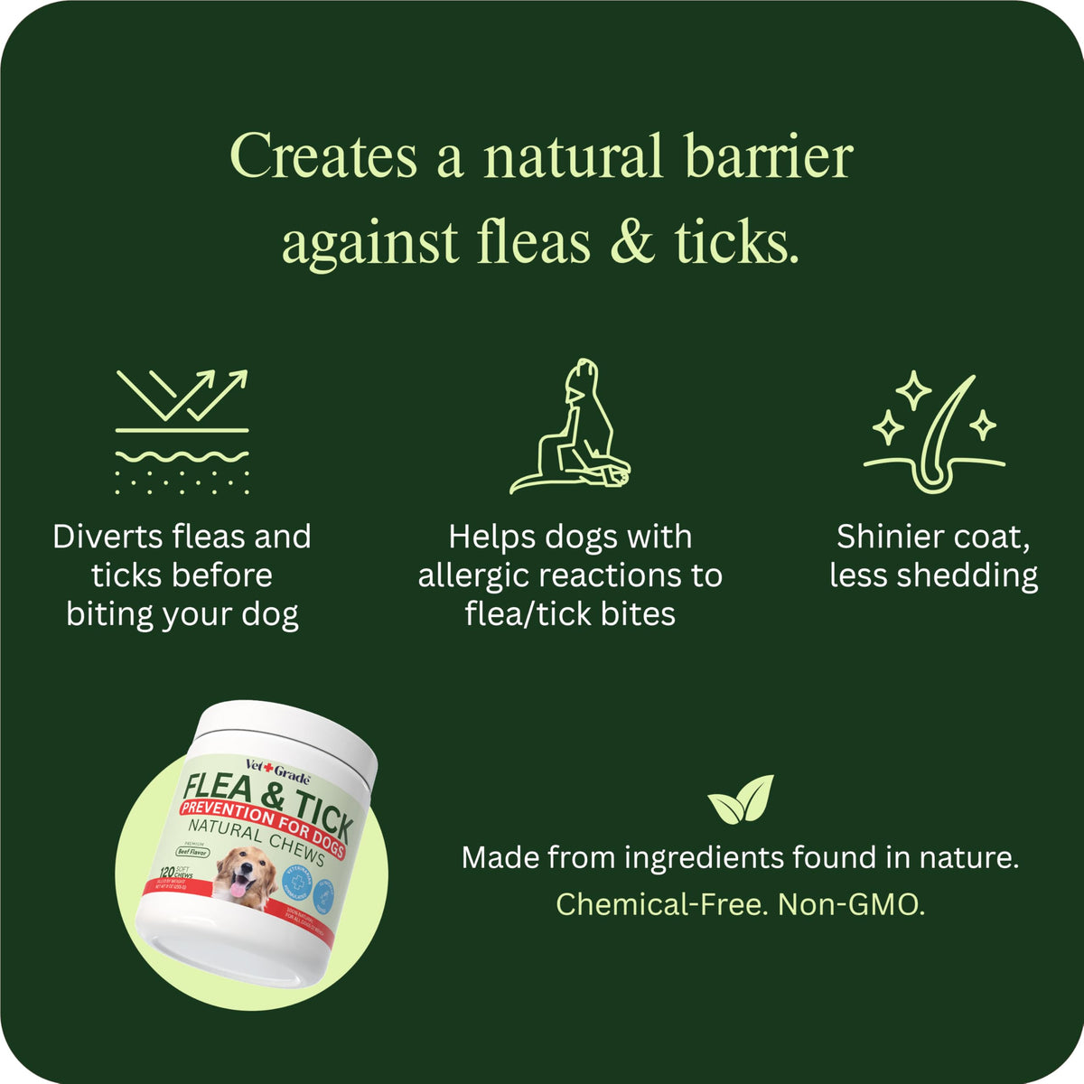 Chewable Flea and Tick Prevention for Dogs 120 Chews Beef J965