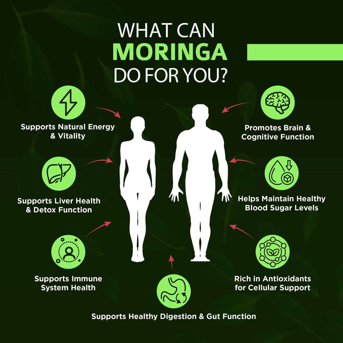 Organic Moringa 1000mg 120 Vegan Capsules T71085