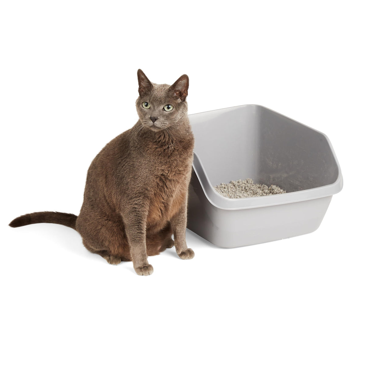 Grey Large High-Back Litter Box X24398