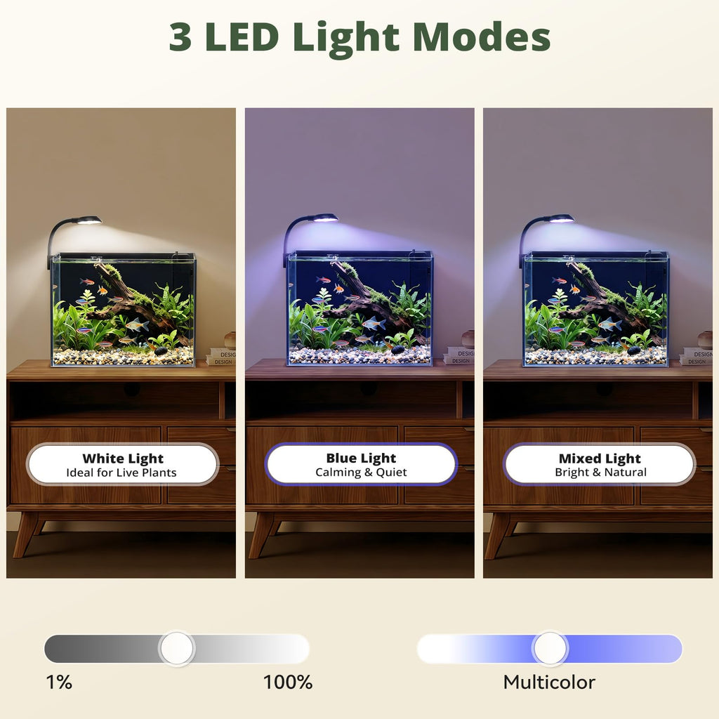 2.5 Gallon Fish Tank with Filter S5446