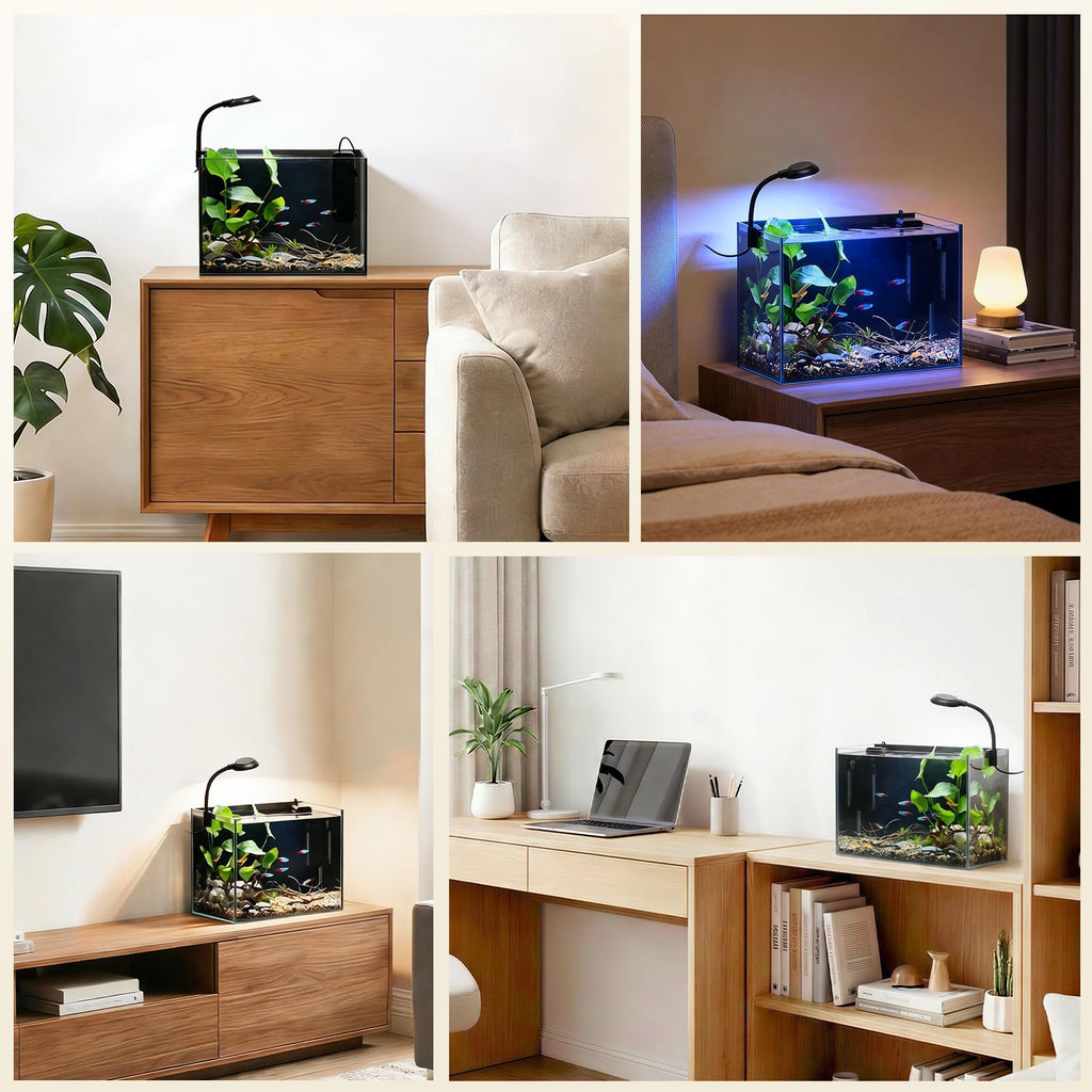 2.5 Gallon Fish Tank with Filter S5446