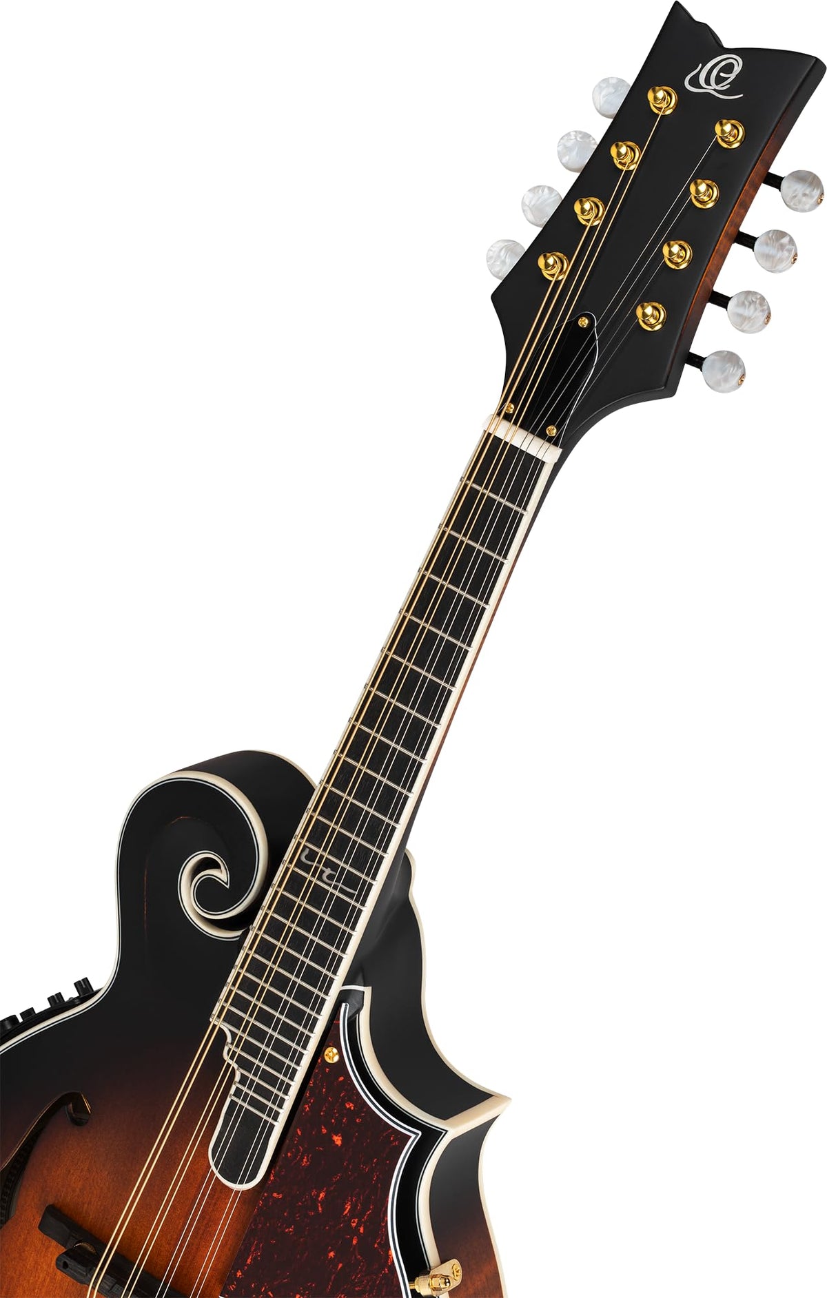All Solid F-Style Acoustic-Electric Mandolin F987
