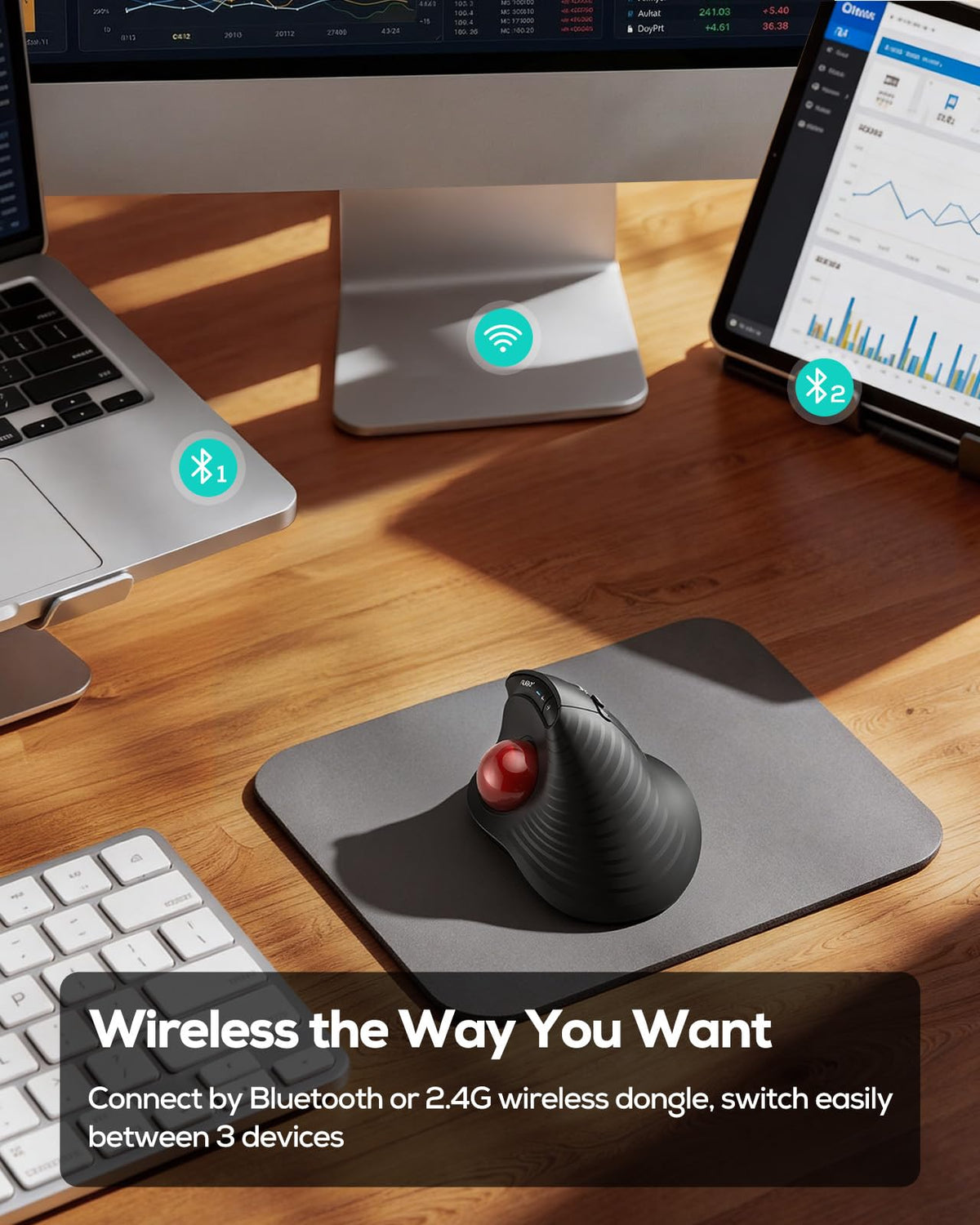 Wireless Ergonomic Vertical Trackball Mouse A497