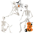 Poseable Life Size Skeleton G1647