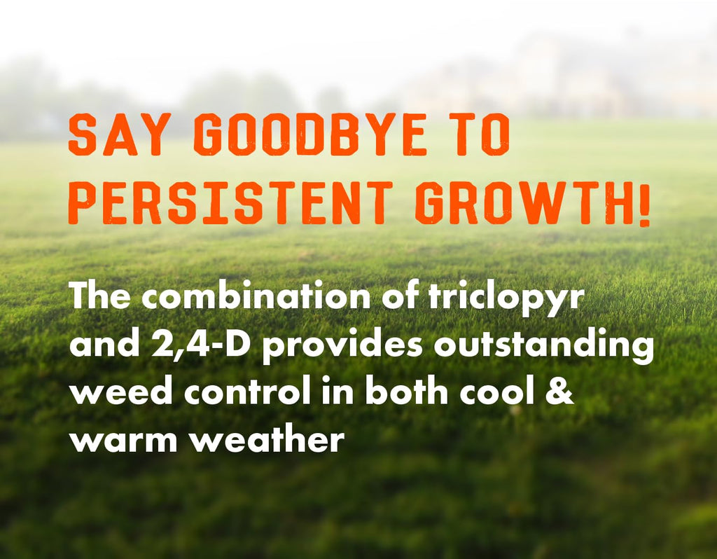 32oz Concentrated Post-Emergent Herbicide for Woody Plants & Broadleaf Weed Control S404669