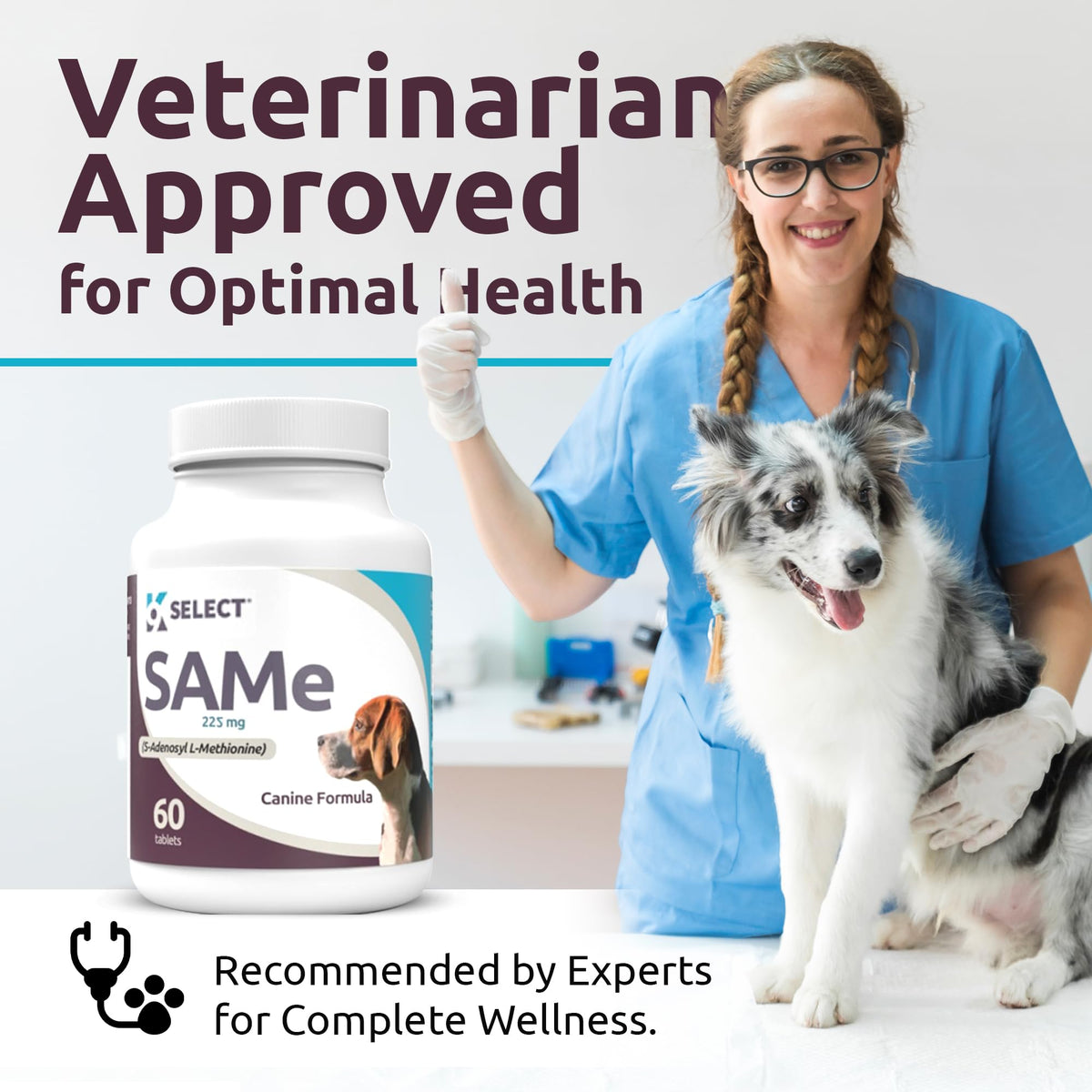 Dog Liver Supplement 60 Tablet 225mg O611