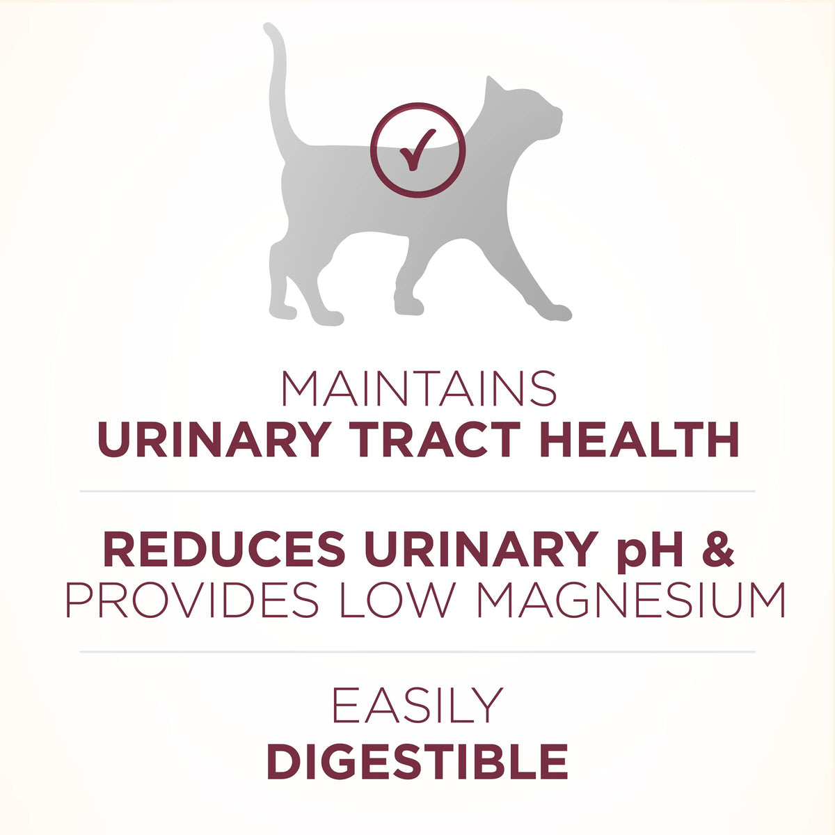 High Protein Urinary Tract Health Dry Cat Food 16 lb Bag P7153