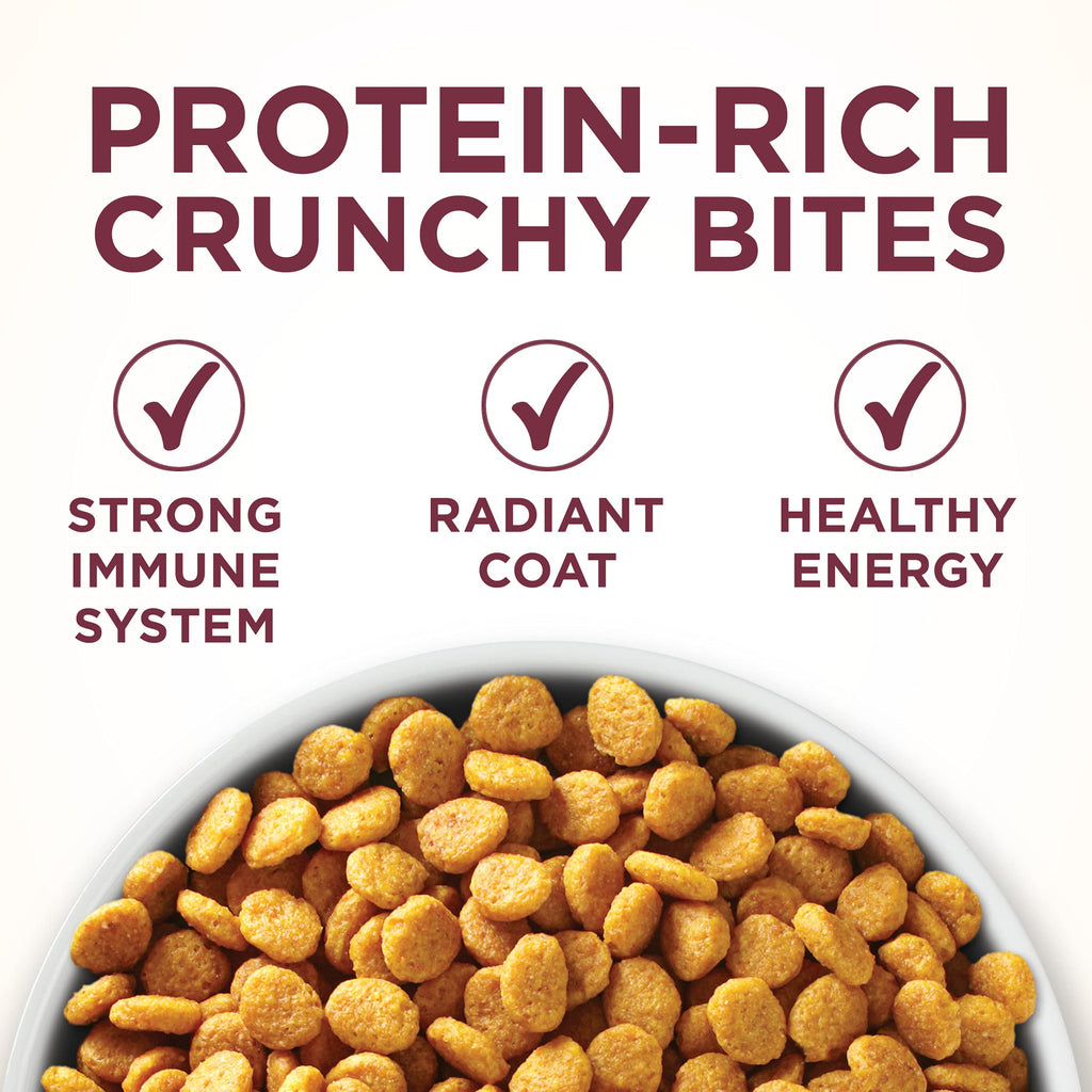 High Protein Urinary Tract Health Dry Cat Food 16 lb Bag P7153