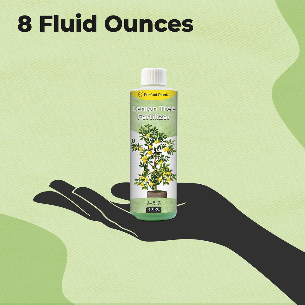 8 oz Citrus Plant Fertilizer Y834705