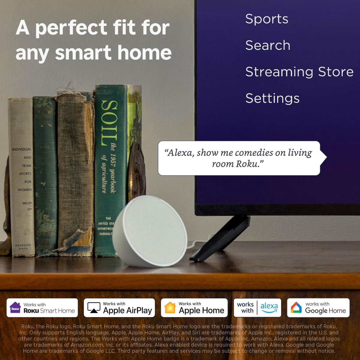 24-Inch 720p HD LED Smart TV Y461