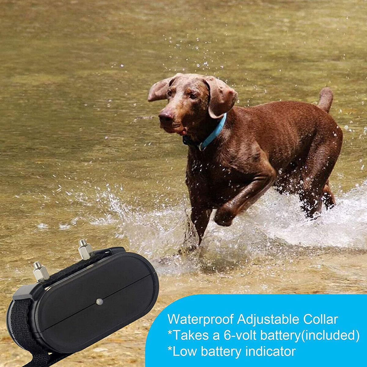 Electronic Dog Fence & Training Collar, 1/2 Acre Waterproof V389