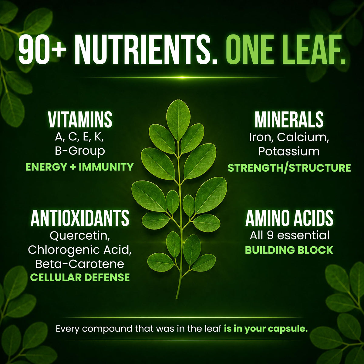 Organic Moringa 1000mg 120 Vegan Capsules T71085