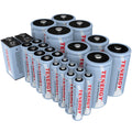 26 Pack NiMH Rechargeable Batteries 8AA 8AAA 4C 4D 2 9V T130124
