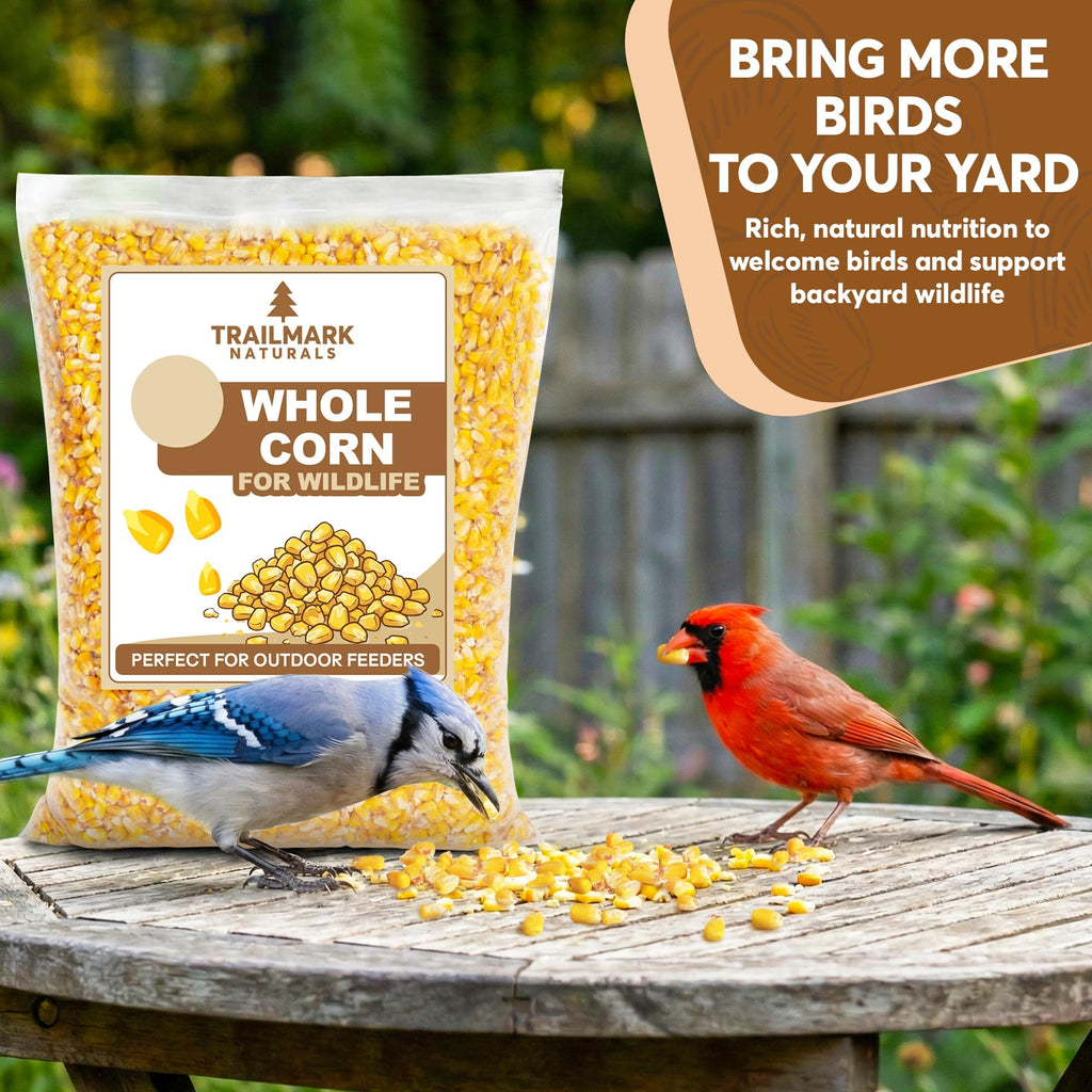 Whole Corn 20 LB Bird Seed & Wildlife Feed X68343