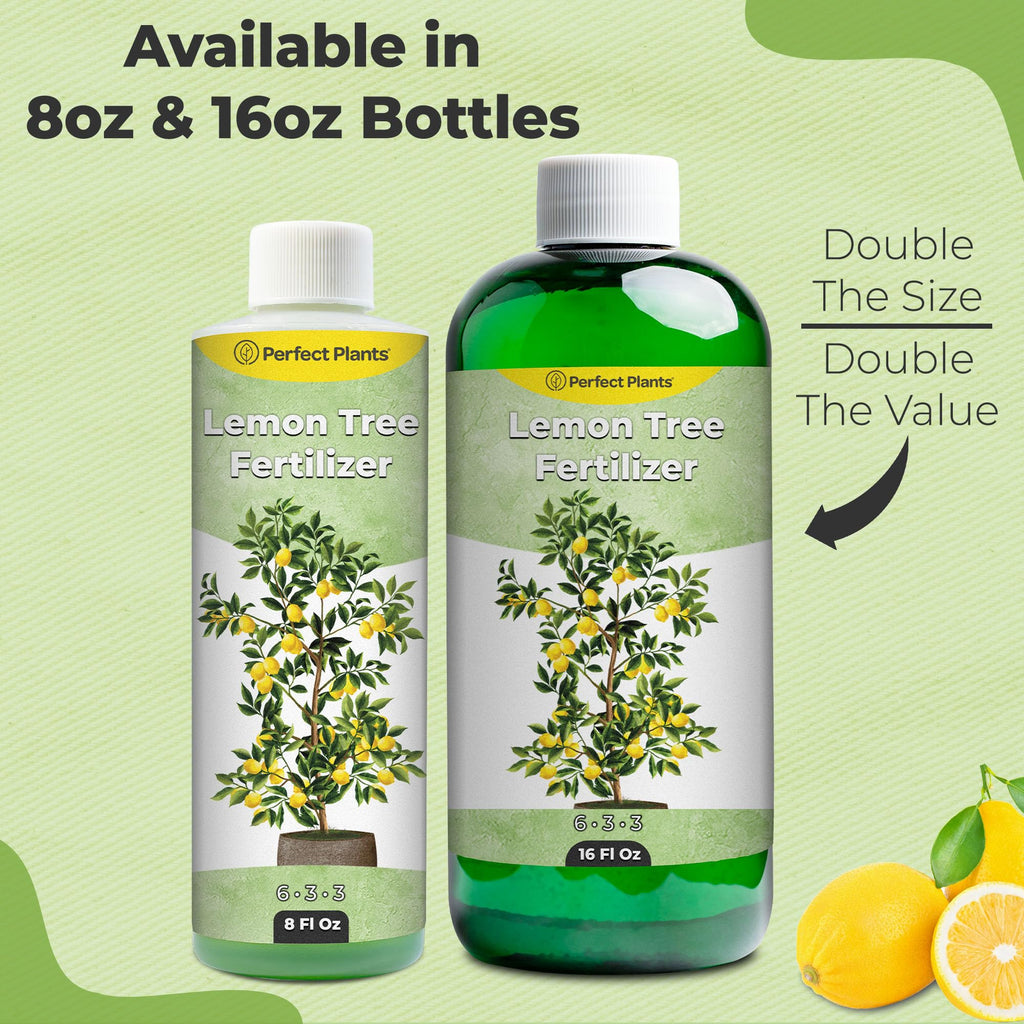 8 oz Citrus Plant Fertilizer Y834705