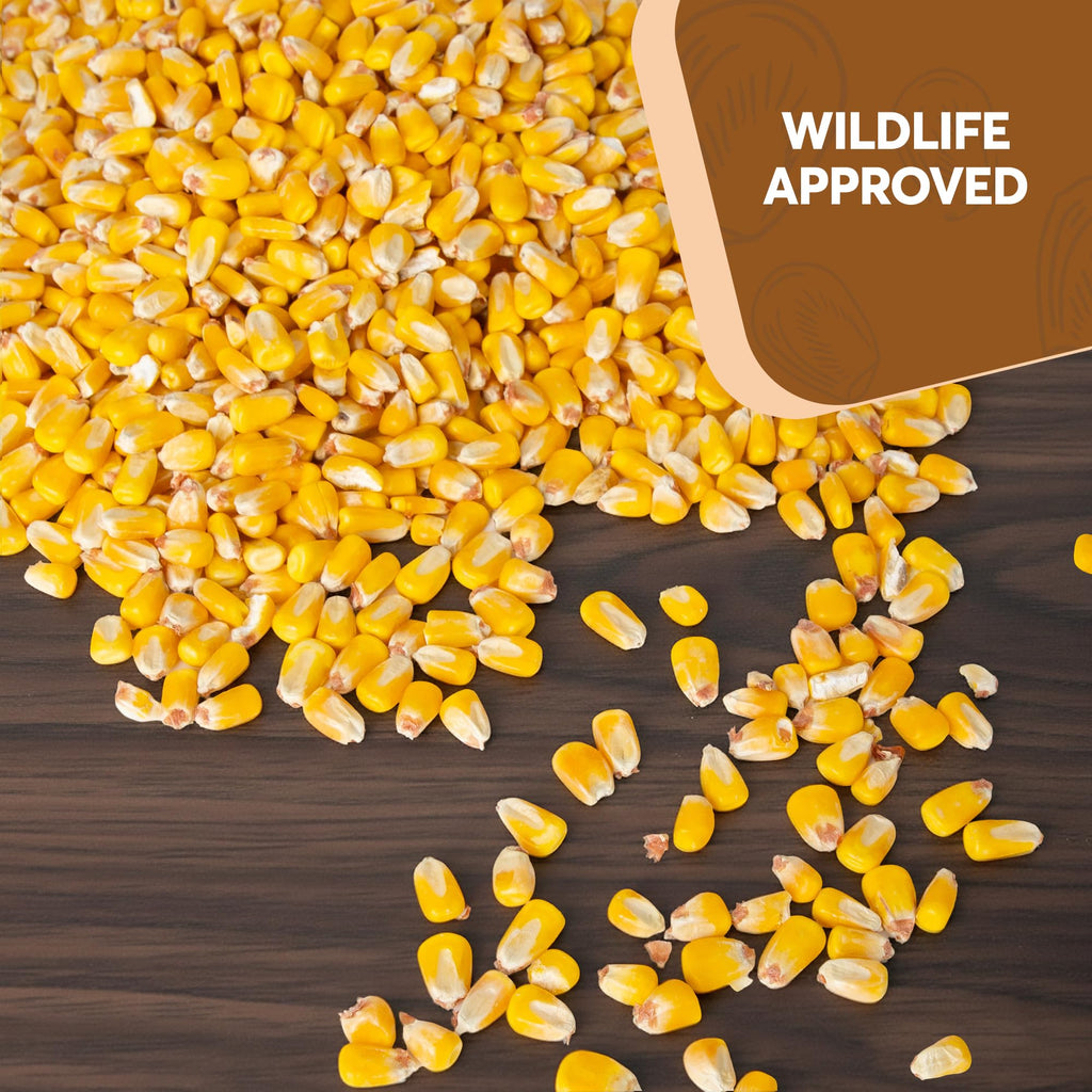 Whole Corn 20 LB Bird Seed & Wildlife Feed X68343
