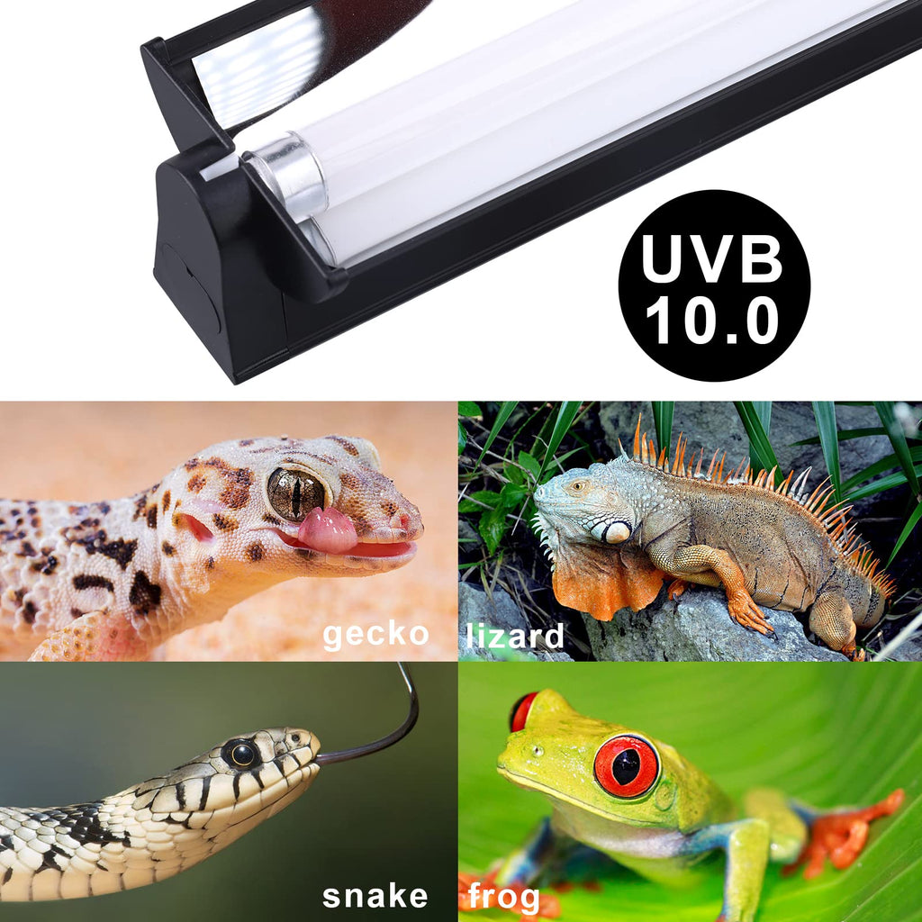Reptile Heat Pad and UVB Light L2472